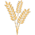Glutine
