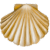 Molluschi