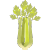 Sedano