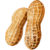 Arachidi