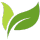 Vegano