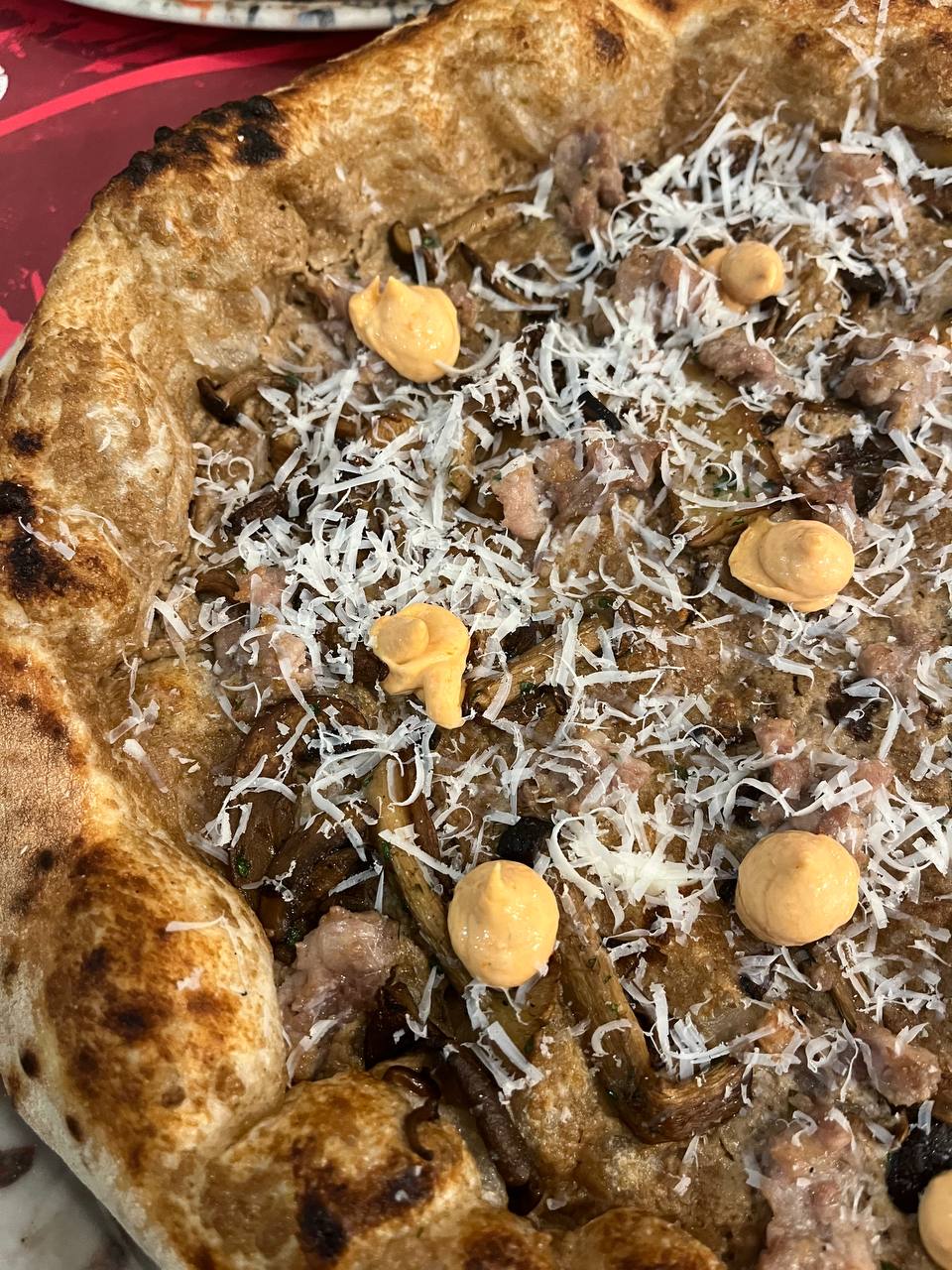 MISTO BOSCO