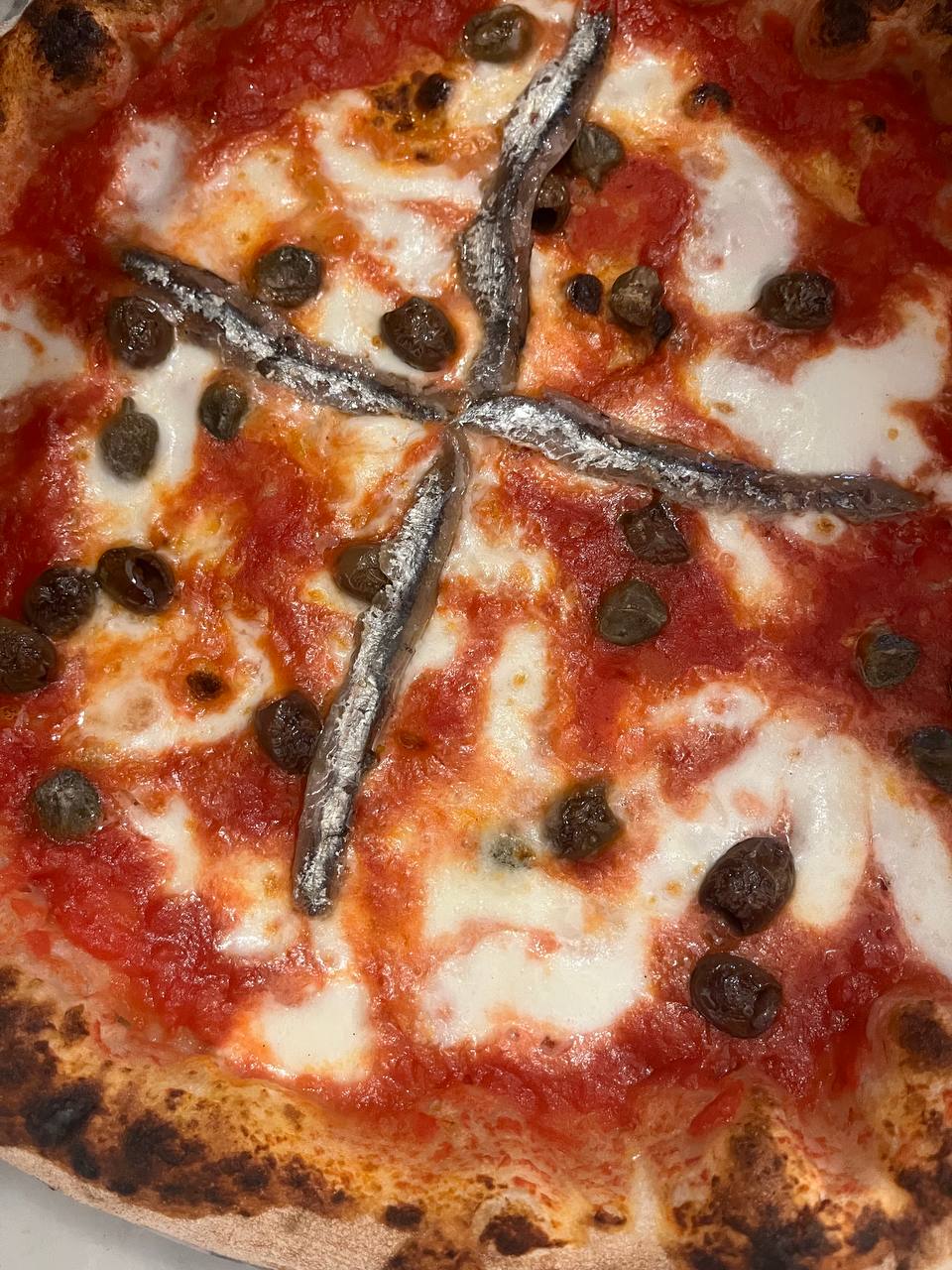 MEDITERRANEA
